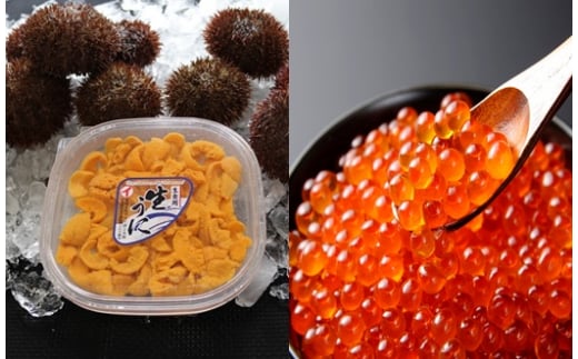 E-71018【12/17まで年内配送】 エゾバフンウニ塩水100g×2P、いくら醤油漬け150g×2P[11月下旬以降発送]