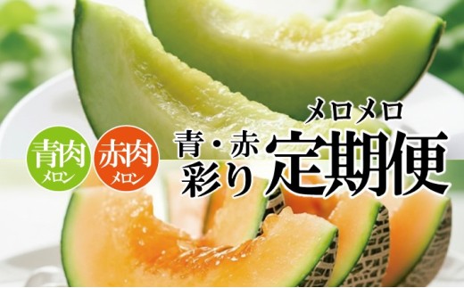 ≪2回定期便≫ メロン好きに贈る 青・赤彩りメロメロ定期便2026 6月下旬～7月上旬 庄内青肉メロン 約5kg（4～5玉) 7月中旬～7月下旬 庄内赤肉メロン 約5kg（4～5玉） 計2回 山形県酒