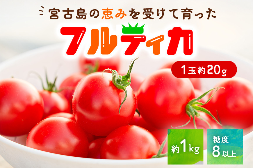
                  PN01　宮古島産 トマト 【フルティカ】約1kg 糖度8以上
                