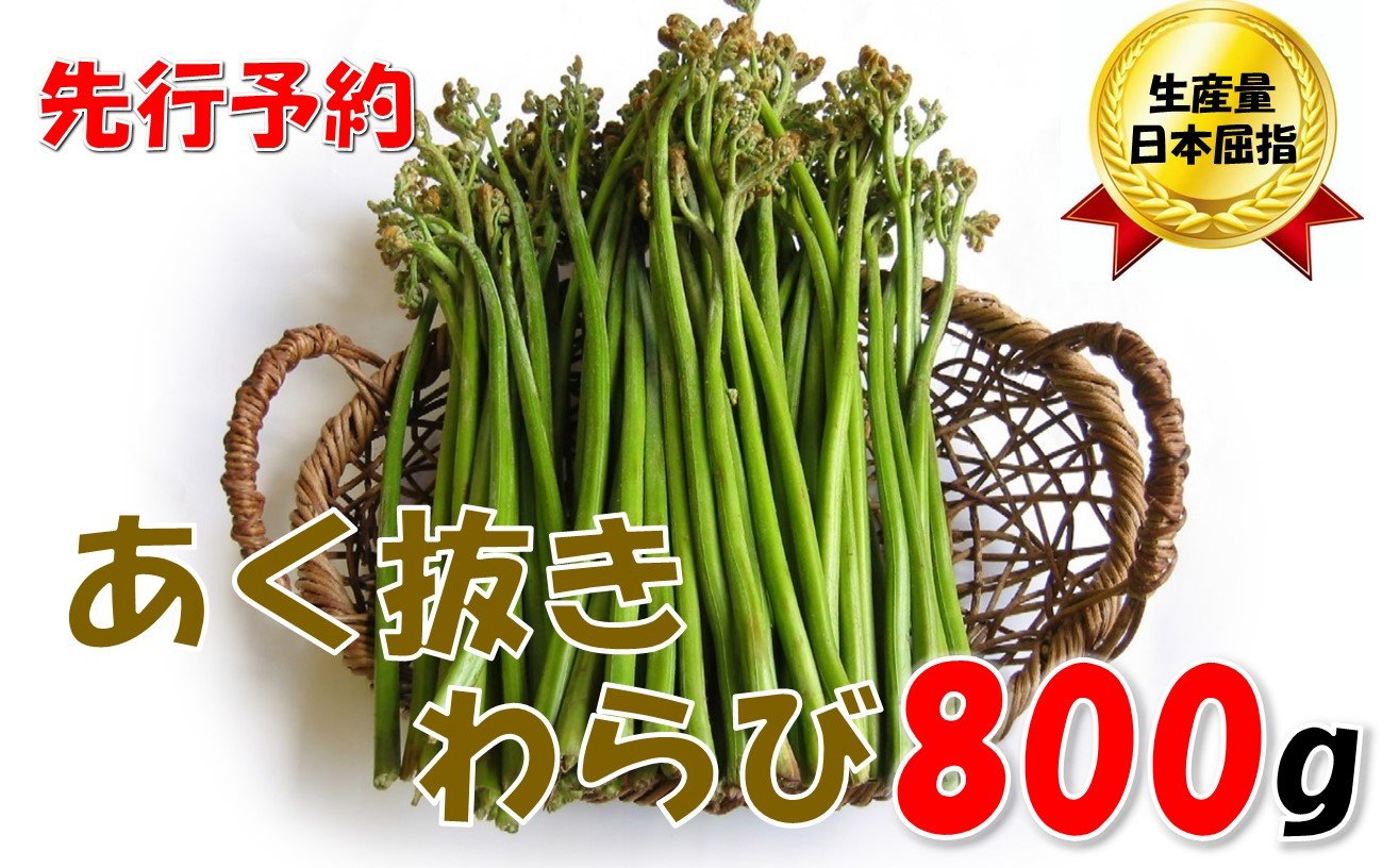 
            【先行予約・数量限定】採れたて山菜　あく抜きわらび　200ｇ×4束（R8.5月～）
          