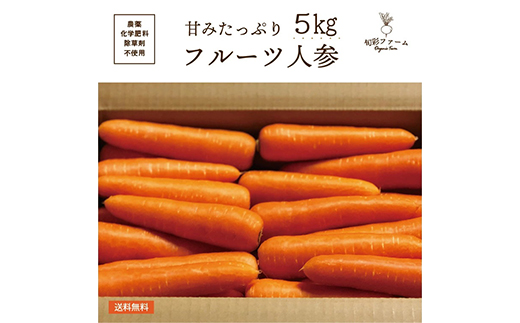 
都内マルシェで人気のお野菜！ 甘みたっぷりフルーツにんじん 5kg F21R-196
