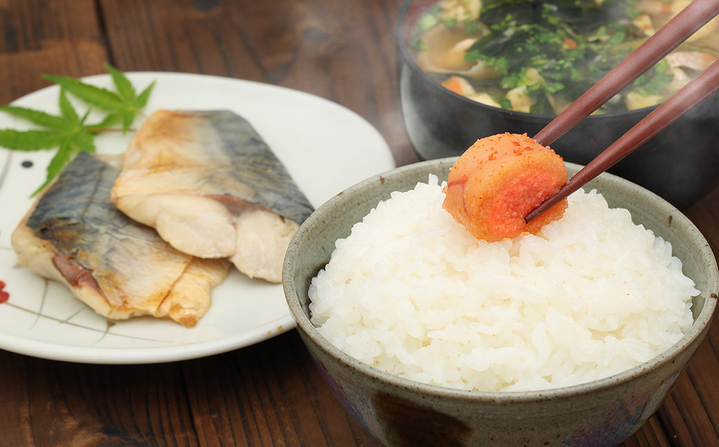 辛子明太子 博多三昧セット 計約560g 