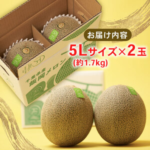 【2024年先行受付】飯岡メロン　5Lサイズ(約1.7kg)×2玉セット(計約3.4kg)【1136458】