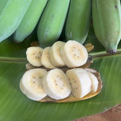 ふるさと納税 糸満市 沖縄でオジーが育てたこだわり アップルバナナ と アボカド 1玉 セット