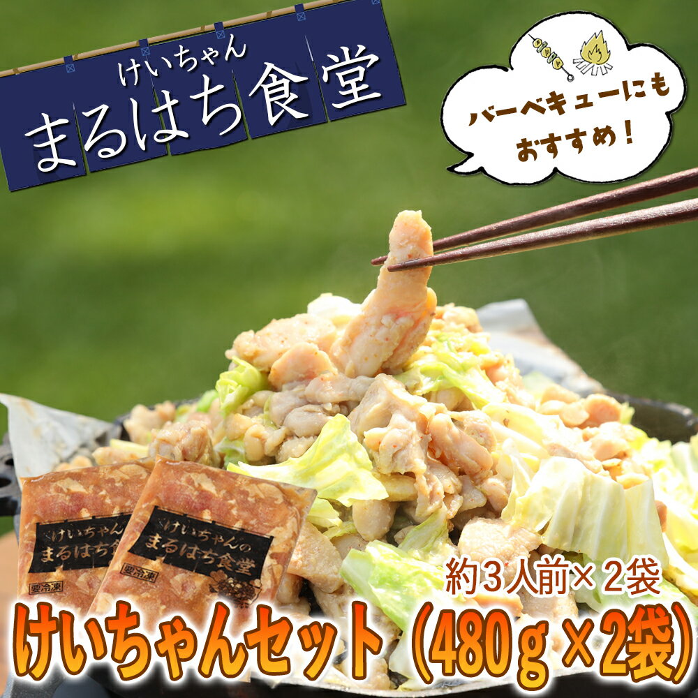 【ふるさと納税】鶏ちゃん発祥の名店「まるはち食堂」こだわり抜かれた下呂の味！！けいちゃん 480g×2（約6人前）冷凍　下呂温泉 鶏肉 B級グルメ 人気 ご飯のお供 バーベキュー アウトドア まるはち ケイちゃん 12000円 岐阜県 下呂市