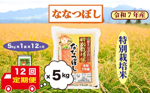 【定期便12回】北海道奈井江町　特別栽培米　ななつぼし　5kg