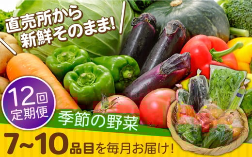 野菜定期便【12回定期便】直売所より発送！季節の野菜セット 7〜10品目 / 野菜定期便 やさい定期便 季節 旬 野菜 詰め合わせ 国産 定期便 野菜セット 新鮮 野菜詰め合わせ サラダ スープ 炒め物 煮物 旬野菜 おまかせセット お任せ 食材セット 宅配 産地直送 やさい 春野菜 夏野菜 秋野菜 / 南島原市 / ながさき南部生産組合 [SBW005]