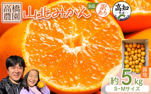 
                  【2026年11月中旬より順次配送】みかん 5kg 小玉 大玉 訳あり 高橋農園 山北みかん 露地(Ｓ～Ｍ)Ｂ品 - 果物 フルーツ ミカン 蜜柑 柑橘 家庭用 自宅用 新鮮 農家直送 露地 10,000円 10000円 1万 甘い 糖度 人気 高知県 香南市 甘い th-0031
                