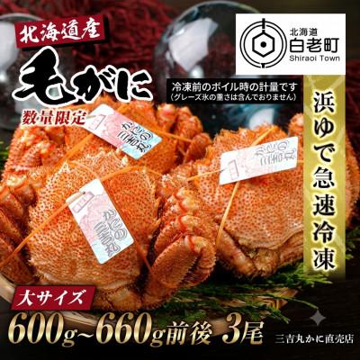 ふるさと納税 白老町 【浜ゆで自社タグ付】北海道産ボイル毛ガニ600g〜660g前後×3尾