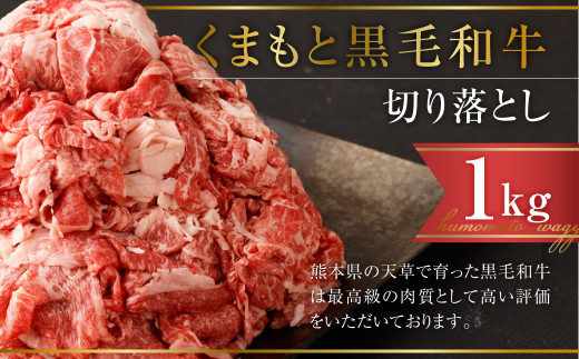 くまもと黒毛和牛 切り落とし 計1㎏(500g×2パック) 牛肉