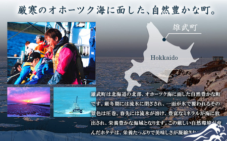 【オホーツク海の幸3種セット】ほたて貝柱 煮たこカット 煮つぶ（各200g×1袋）【07196】