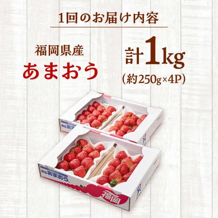 【全2回定期便】福岡産【春】いちご あまおう4パック 桂川町/南国フルーツ株式会社 [ADBW042] あまおう 苺 イチゴ あまおう 定期便