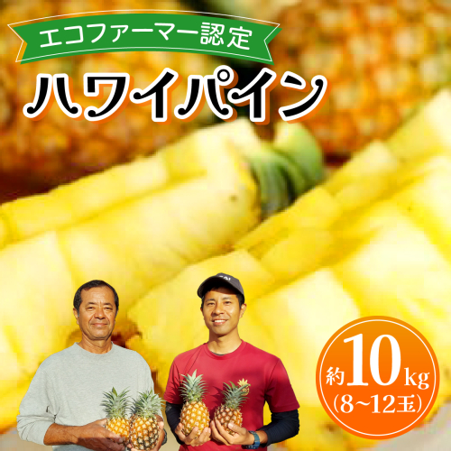 《2026年先行予約》ハワイパイン約10kg 【お届け：2026年6月中旬～7月下旬】【農園ファイミール 完熟 果物 フルーツ パイン パイナップル】