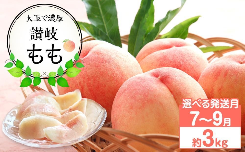 
                  【先行予約】大玉で濃厚な讃岐もも 約3kg 7月～9月出荷 品種おまかせ 桃
                