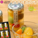 【ふるさと納税】わかやまポンチ　4本セット