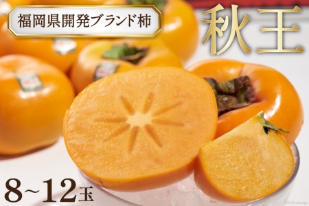 【期間限定発送】糖度が高く サクサクとした食感 柿 ! 福岡県開発 ブランド柿 「秋王」8～12玉 [南国フルーツ 福岡県 筑紫野市 21760120]