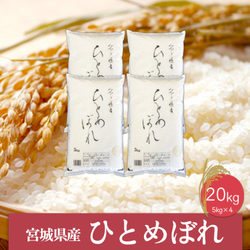 (06447)《精米》令和6年産 宮城県産ひとめぼれ5kg×4袋