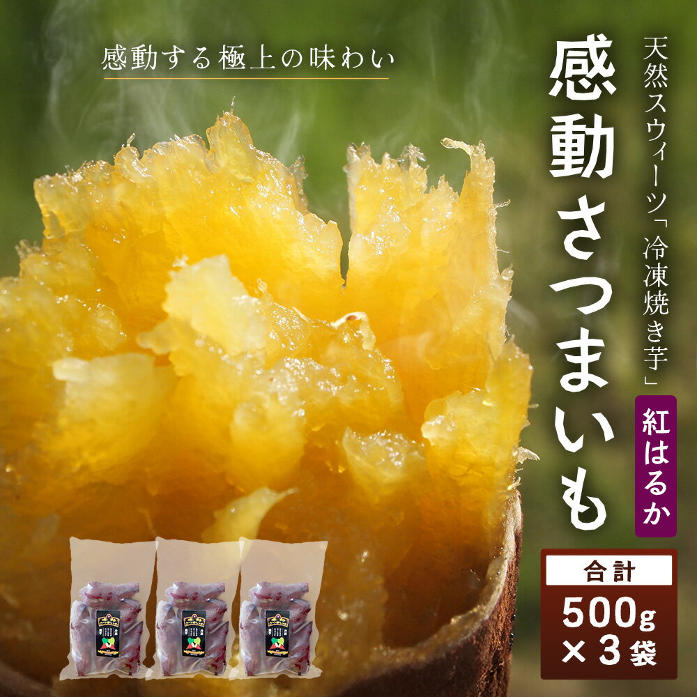 【ふるさと納税】感動 さつまいも 冷凍 焼芋 紅はるか 500g×3 パック