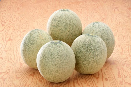 【2024年8月上旬発送】メロン5kg程度(緑肉4～6玉)津軽産