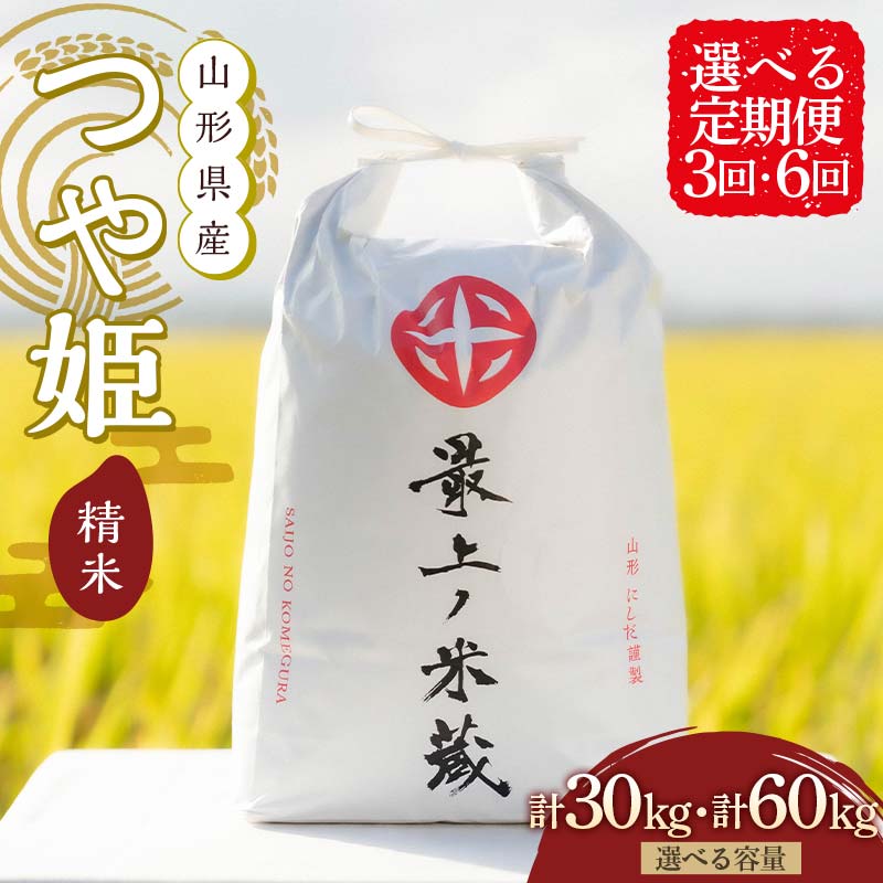 【ふるさと納税】 ＜選べる定期便 3回・6回＞ 令和7年産 つや姫 5kg×2 計10kg 精米 【最上ノ米蔵】 山形県産 こめ お米 米 白米 F3S-2566var