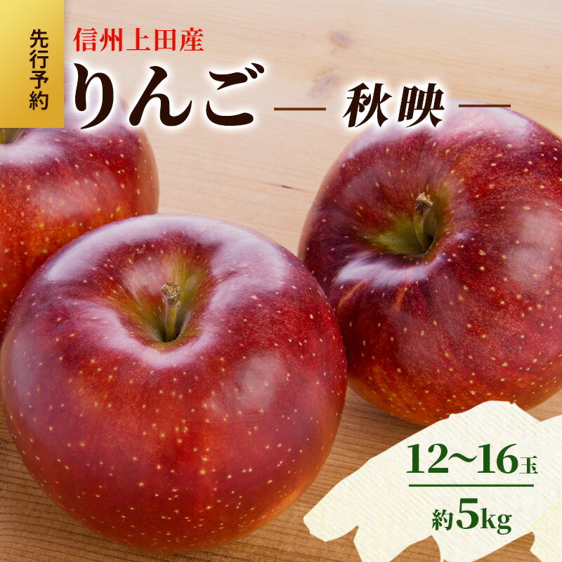 【ふるさと納税】りんご 信州上田産 秋映 家庭用 約5kg 12～16玉 リンゴ 林檎 5kg 果物 くだもの フルーツ デザート 旬の果物 旬のフルーツ 傷 長野県 長野 上田市　お届け：2025年10月中旬～下旬