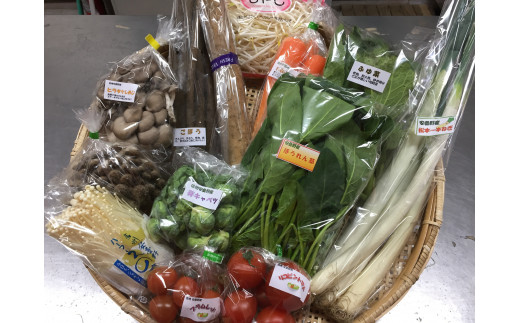 産直センター　旬彩BOX「四季の野菜セット」