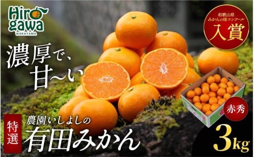有田 みかん 特選 赤秀 3kg 【 創業120年 農家直送 】 / 温州みかん 有田みかん 甘い ギフト 贈答 高級 和歌山 柑橘 ※11月より順次発送予定 【isy004-gif-3B】