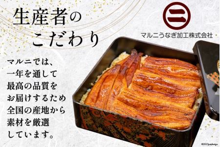 うなぎ 国産 蒲焼き 2尾 12回定期便