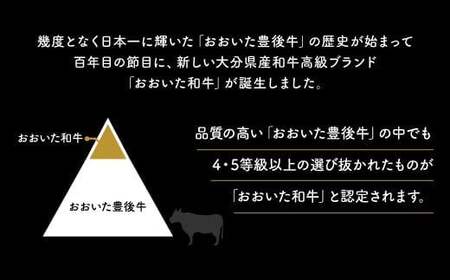 0C1-178 大分県産黒毛和牛　おまかせすき焼きセット（A4以上 500g）