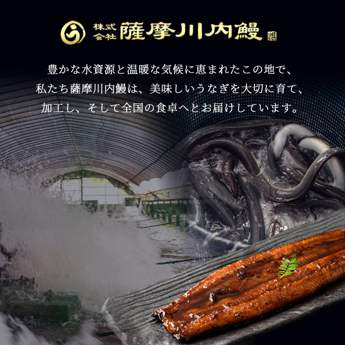 i854-B ＜定期便・計3回(隔月)＞鹿児島県産うなぎ蒲焼3尾セット＜(約140g×3・計約420g)×全3回＞【薩摩川内鰻】