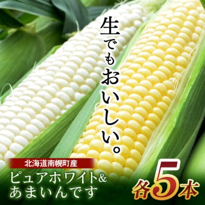 北海道産 とうもろこし ピュアホワイト5本&あまいんです5本 計10本 令和6年配送