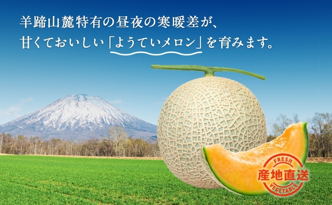 北海道 赤肉メロン 大玉 約2kg 2玉 メロン 赤肉 果物 フルーツ 甘い 完熟 スイーツ デザート 産直 国産 贈答品 お祝いギフト羊蹄山 JAようてい 送料無料 北海道 倶知安町