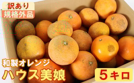
            【訳あり・規格外品】ハウス美娘 約5kg（バラ詰め） ／ ミカン みかん 蜜柑 柑橘類 訳あり 美娘 オレンジ 5kg 甘い フルーツ ＜132-019＞
          