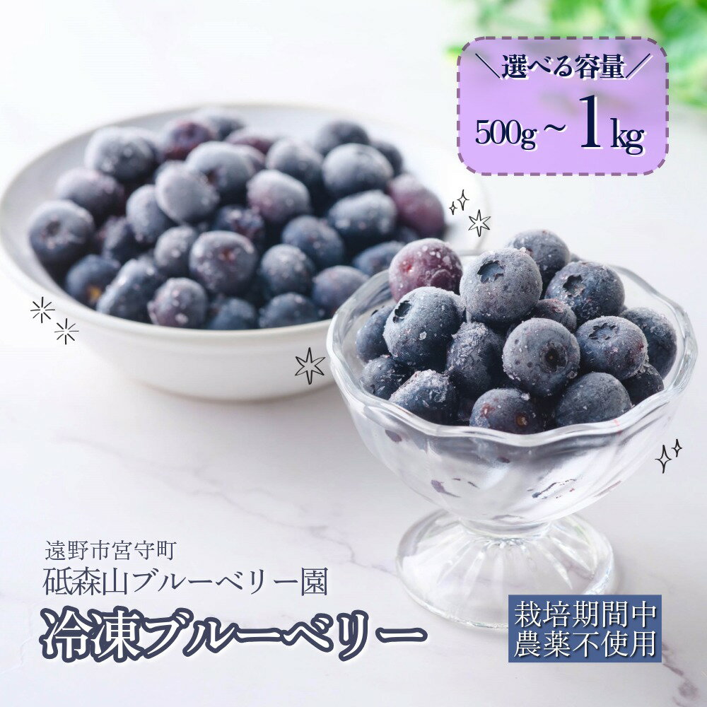 【ふるさと納税】ブルーベリー 冷凍 栽培期間中 農薬不使用 無農薬 大粒 500g 1kg 選べる 容量 大玉 は 1.5mm 以上 東北 岩手県 遠野市 遠野食工房蔵 砥森山ブルーベリー園 宮守町 産 果実 果物 くだもの フルーツ 飲料 健康 美容 視力 抗酸化 無選別 除草剤不使用 送料無料