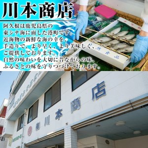 鹿児島県阿久根市産干物！大羽いわし丸干し(20尾)国産 鹿児島県産 魚介 魚貝 海産物 水産加工物 惣菜 簡単調理 セット 小分け【川本商店】a-12-132