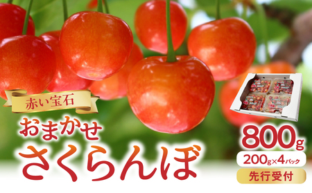 《先行受付》「赤い宝石」おまかせさくらんぼ 200ｇ×4Ｐ【2026年6月頃より順次発送予定】 060-022