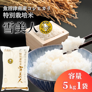 魚沼産コシヒカリ 特別栽培 雪美人  5kg  | 津南町 魚沼 令和7年