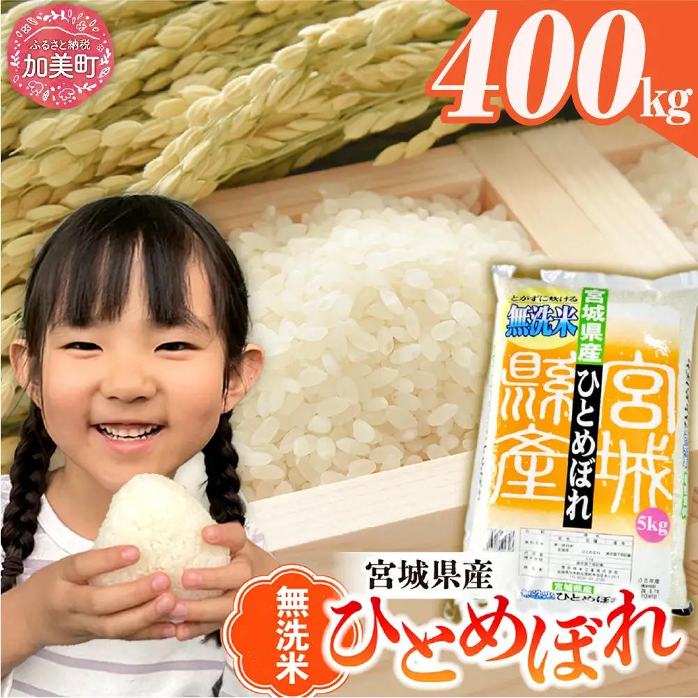 令和8年産 無洗米 ひとめぼれ 400kg | ひとめぼれ
