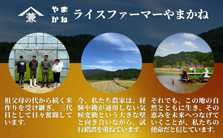 【2025年産新米】【6ヶ月定期便】五泉市奥川内産 お米ソムリエ特別栽培米 コシヒカリ 精米 10kg(5kg×2袋) 新潟県 五泉市 ライスファーマーやまかね