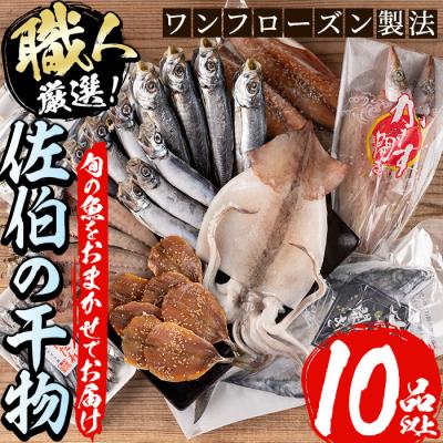 ふるさと納税 佐伯市 職人おまかせ干物セット (合計10品以上)