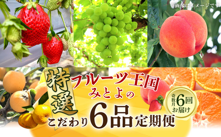 フルーツ 定期便 果物 フルーツ王国みとよの特選こだわり6品(奇数月)【配送不可地域：北海道・沖縄県・離島】_M02-0135-R