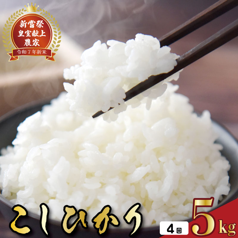 【ふるさと納税】 初回 スピード発送 令和7年産 お米 定期便 5kg 4回 コシヒカリ 白米 5キロ × 4回 20kg 4ヵ月連続 お届け 新米 ごはん お米 精米 国産 日本 R7年 贈答用 贈り物 ギフト 米 食品 穀物 単一原料米 安全 安心 農家直送 産地直送 特産品 安芸市 高知県