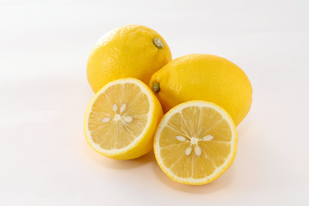 【ふるさと納税】【皮まで食べられる】愛媛育ちのレモン 2kg/3kg/5kg　防腐剤・ワックス不使用_ レモン れもん 檸檬 愛媛県 国産 防腐剤不使用 ワックス不使用 果物 くだもの フルーツ かんきつ 柑橘 柑橘類 産直 産地直送 えひめ 八幡浜市 【G1624050】