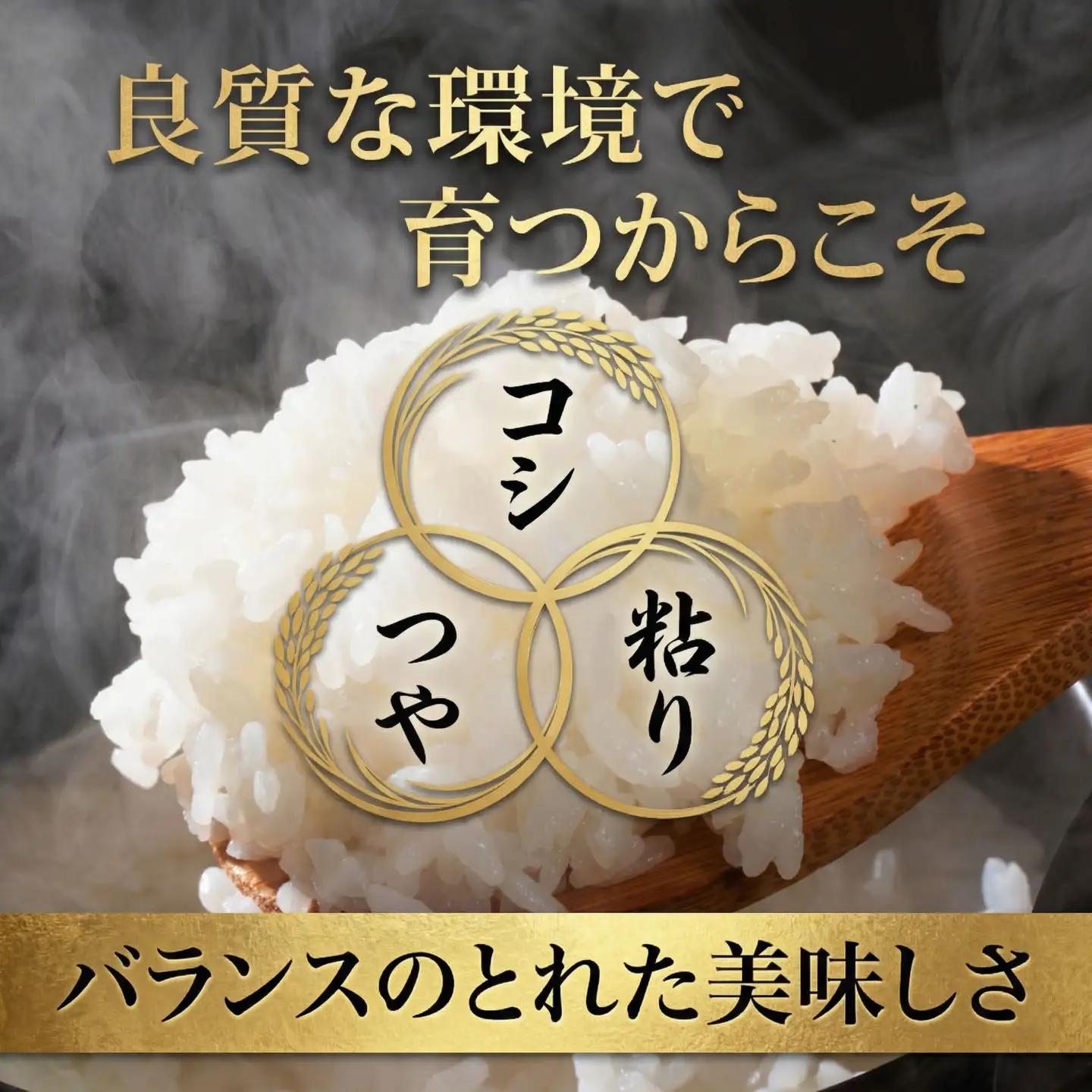 スピード発送!! （最短2日~7日程度で発送） 茨城県 筑西市産 にじのきらめき 5kg ( 障がい者アート パッケージ )