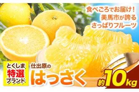 ＜ 先行予約 ＞ 八朔 はっさく 10kg 《2026年2月上旬‐2026月3月上旬頃出荷》仕出原八朔生産組合 徳島県 美馬市 果物 くだもの フルーツ 特選 ゼリー ジュース ピール st-p