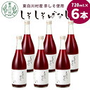 【ふるさと納税】【2024年8月より順次発送】東白川村産赤しそ使用！ しそしそばなし 6本 720ml しそジュース 紫蘇 赤しそ 紫蘇ジュース ジュース 飲料 飲み物 赤しそ 赤紫蘇 つちのこの村 16000円