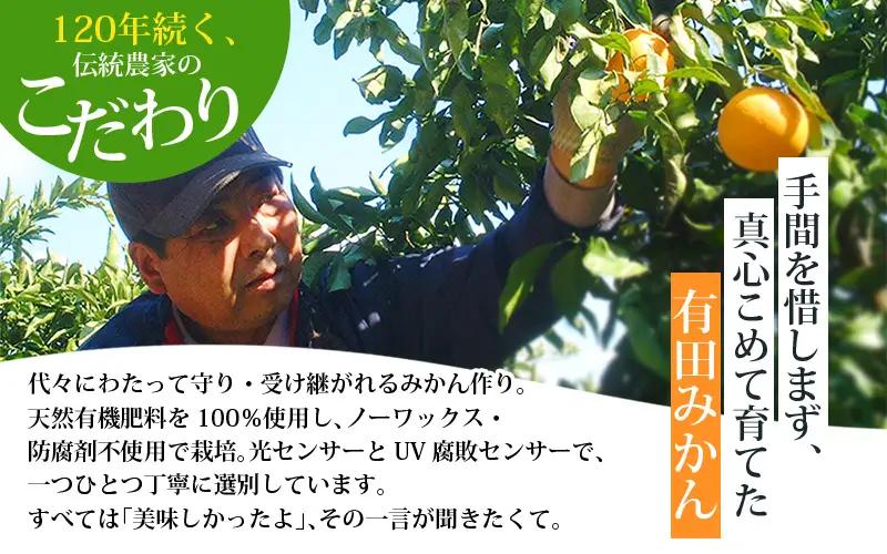 【2027年1月発送予約】有田みかん 約6kg＋150g(傷み補償分) みかん【nuk102-01A】