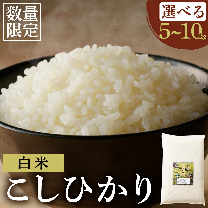 【ふるさと納税】 ≪都農町産≫ 新米 コシヒカリ 5kg 10kg お米 こめ ご飯 国産 食品 ライス 白米 白飯 主食 エネルギー ごはん おにぎり おむすび 晩ご飯 お弁当 おすすめ 甘い 人気 お試し 精米 グルメ 宮崎県 お取り寄せ 送料無料