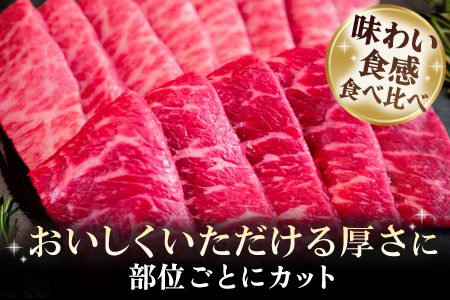 佐賀牛 希少部位焼肉セット450g(H122142)