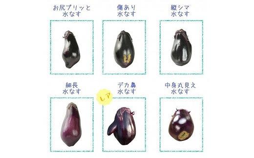 北野農園【農家直送】ワケあり泉州水なす20個